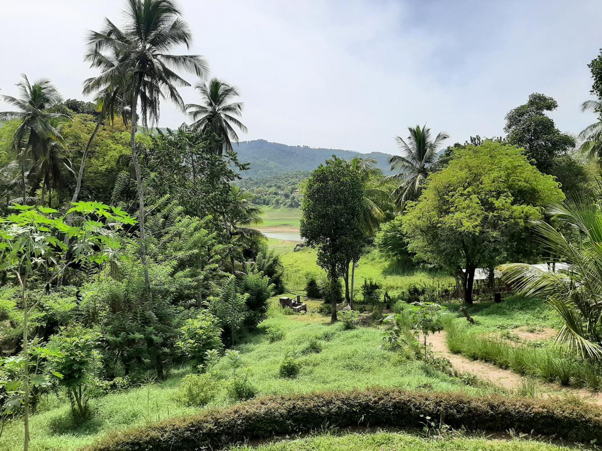 Victoria Views Resort Kandy Digana Ngoại thất bức ảnh